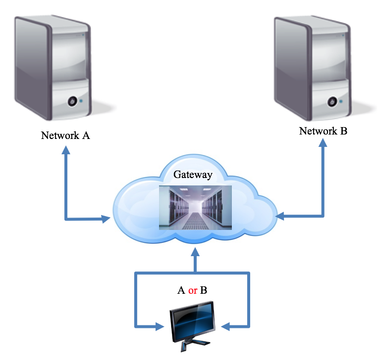 19.2.9. Access Gateway